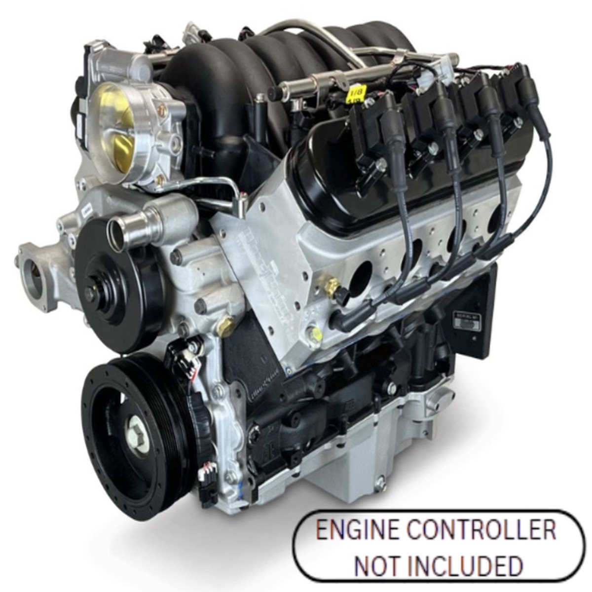 Gm Ls Compatible 376 CI Pro Series Engine - 530 Horsepower - Base Dressed - No Ecu Harness